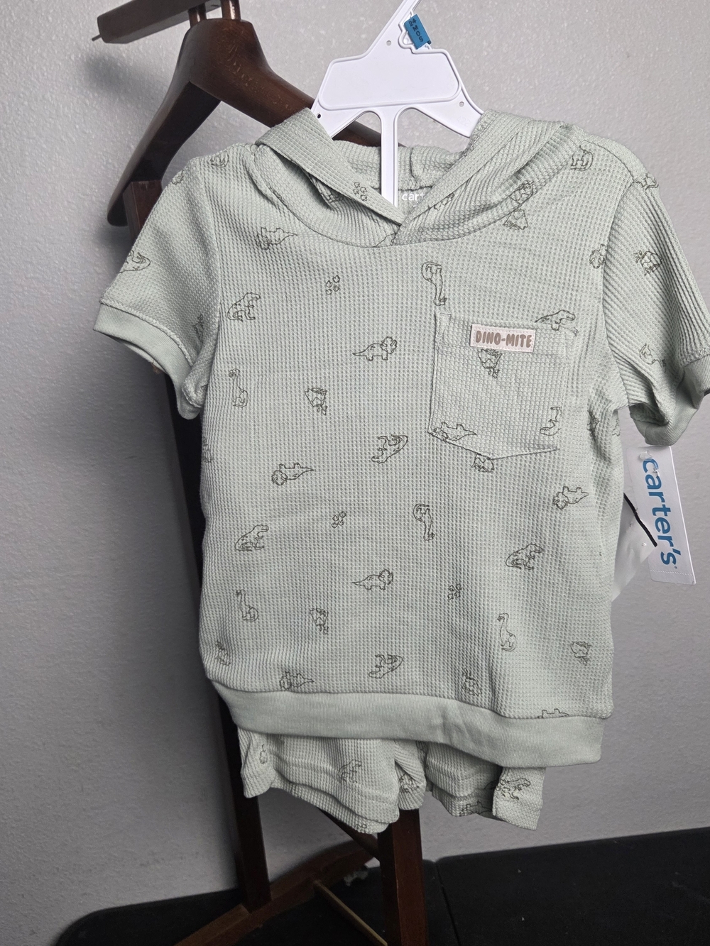Carter's Mint Green Dino Hooded Short Set